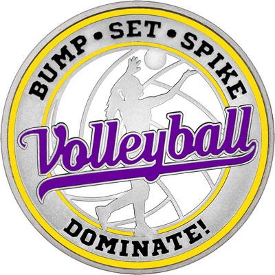 Purple "Volleyball" with Yellow Outer Circular Borders